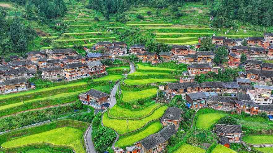 中国三星CSR新三年战略收官 展示多项在华社责成