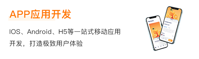 1680417434648032.png APP应用开发.png