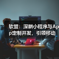 软盟:深耕小程序与App定制开发,引领移动应用新篇章(图1) 软盟:深耕小程序与App定制开发,引领移动应用新篇章(图1)