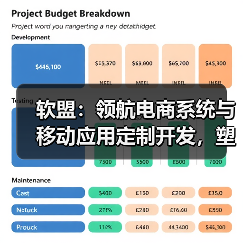 软盟:领航电商系统与移动应用定制开发,塑造互联网软件新标杆(图3) 软盟:领航电商系统与移动应用定制开发,塑造互联网软件新标杆(图3)