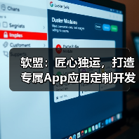 软盟:匠心独运,打造专属App应用定制开发服务(图3) 软盟:匠心独运,打造专属App应用定制开发服务(图3)