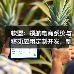 软盟:领航电商系统与移动应用定制开发,塑造互联网软件新标杆(图2) 软盟:领航电商系统与移动应用定制开发,塑造互联网软件新标杆(图2)