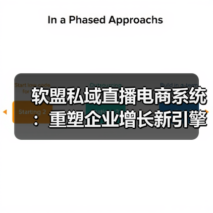 软盟私域直播电商系统:重塑企业增长新引擎(图3) 软盟私域直播电商系统:重塑企业增长新引擎(图3)