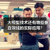 大模型技术还有哪些垂直领域的实际应用?(图3) 大模型技术还有哪些垂直领域的实际应用?(图3)