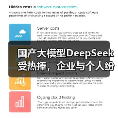 国产大模型DeepSeek受热捧,企业与个人纷纷搭建私有化部署(图4) 国产大模型DeepSeek受热捧,企业与个人纷纷搭建私有化部署(图4)