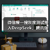 微信搜一搜灰度测试接入DeepSeek，腾讯强调保护用户隐私（图1）