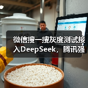微信搜一搜灰度测试接入DeepSeek，腾讯强调保护用户隐私（图2）