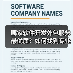 哪家软件开发外包服务最优质?如何找到专业且性价比高的合作伙伴?(图3) 哪家软件开发外包服务最优质?如何找到专业且性价比高的合作伙伴?(图3)