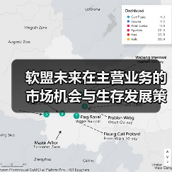 软盟未来在主营业务的市场机会与生存发展策略深度分析及实施路径(图4) 软盟未来在主营业务的市场机会与生存发展策略深度分析及实施路径(图4)