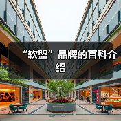 “软盟”品牌的百科介绍(图4) “软盟”品牌的百科介绍(图4)