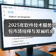 2025年软件技术服务外包市场规模与发展机会探析（图3）