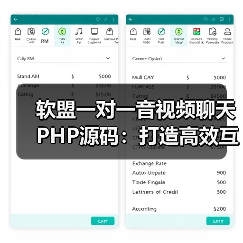 软盟一对一音视频聊天PHP源码:打造高效互动的社交新体验(图4) 软盟一对一音视频聊天PHP源码:打造高效互动的社交新体验(图4)