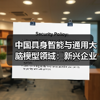 中国具身智能与通用大脑模型领域:新兴企业与初创公司的崛起(图4) 中国具身智能与通用大脑模型领域:新兴企业与初创公司的崛起(图4)