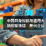 中国具身智能与通用大脑模型领域:新兴企业与初创公司的崛起(图2) 中国具身智能与通用大脑模型领域:新兴企业与初创公司的崛起(图2)