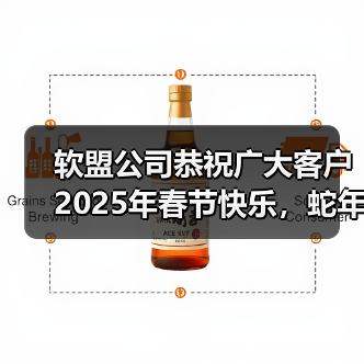 软盟公司恭祝广大客户2025年春节快乐，蛇年共创辉煌！（图3）