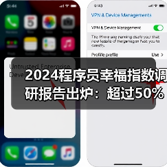 2024程序员幸福指数调研报告出炉:超过50%的程序员担心被AI取代(图3) 2024程序员幸福指数调研报告出炉:超过50%的程序员担心被AI取代(图3)