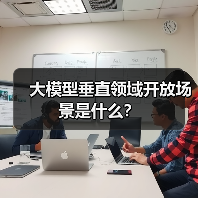 大模型垂直领域开放场景是什么?(图3) 大模型垂直领域开放场景是什么?(图3)