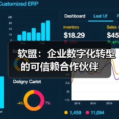 软盟:企业数字化转型的可信赖合作伙伴(图3) 软盟:企业数字化转型的可信赖合作伙伴(图3)