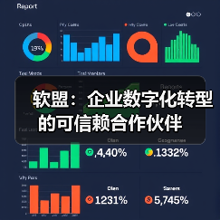 软盟:企业数字化转型的可信赖合作伙伴(图2) 软盟:企业数字化转型的可信赖合作伙伴(图2)