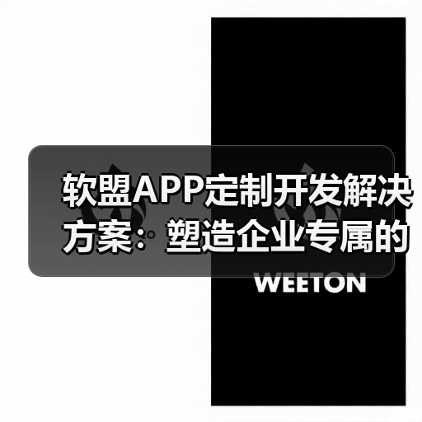 软盟APP定制开发解决方案:塑造企业专属的移动未来(图3) 软盟APP定制开发解决方案:塑造企业专属的移动未来(图3)