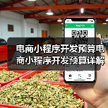 电商小程序开发预算电商小程序开发预算详解及详细预算明细(图2) 电商小程序开发预算电商小程序开发预算详解及详细预算明细(图2)