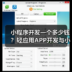 小程序开发一个多少钱?轻应用APP开发与小程序开发价格详解(图1) 小程序开发一个多少钱?轻应用APP开发与小程序开发价格详解(图1)