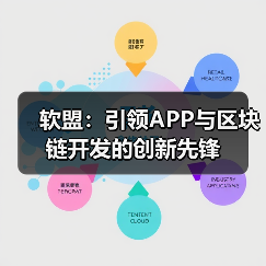 软盟:引领APP与区块链开发的创新先锋(图2) 软盟:引领APP与区块链开发的创新先锋(图2)