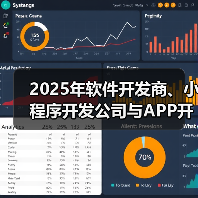 2025年软件开发商、小程序开发公司与APP开发公司的市场方