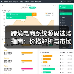 跨境电商系统源码选购指南：价格解析与市场行情（图2）
