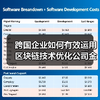 跨国企业如何有效运用区块链技术优化公司金融资产管理策略？（图4）