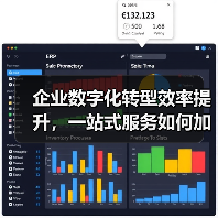 企业数字化转型效率提升，一站式服务如何加速落地？（图4）