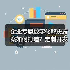 企业专属数字化解决方案如何打造？定制开发全流程解析（图3）