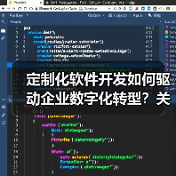 定制化软件开发如何驱动企业数字化转型？关键策略解析（图3）