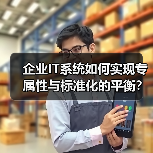 企业IT系统如何实现专属性与标准化的平衡？模块化定制破局之道（图3）