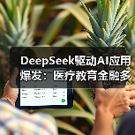 DeepSeek驱动AI应用爆发：医疗教育金融多领域革新（图1）