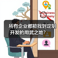 所有企业都能找到定制开发的用武之地？（图1）