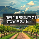 所有企业都能找到定制开发的用武之地？（图4）