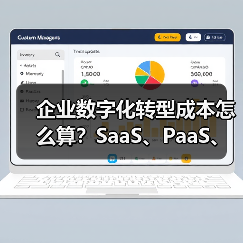 企业数字化转型成本怎么算?SaaS、PaaS、低代码投入产出比分析(图4) 企业数字化转型成本怎么算?SaaS、PaaS、低代码投入产出比分析(图4)