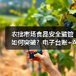 农批市场食品安全监管如何突破?电子台账+AI快检双重保障破解难题(图2) 农批市场食品安全监管如何突破?电子台账+AI快检双重保障破解难题(图2)