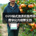 O2O模式激活农批市场:数字化升级新实践(图3) O2O模式激活农批市场:数字化升级新实践(图3)