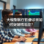 大模型医疗影像诊断如何突破精准度?(图4) 大模型医疗影像诊断如何突破精准度?(图4)
