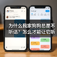 为什么我家狗狗总是不听话?怎么才能让它听我的?(图2) 为什么我家狗狗总是不听话?怎么才能让它听我的?(图2)