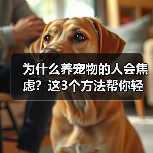 为什么养宠物的人会焦虑?这3个方法帮你轻松应对(图2) 为什么养宠物的人会焦虑?这3个方法帮你轻松应对(图2)