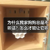为什么我家狗狗总是不听话?怎么才能让它听我的?(图3) 为什么我家狗狗总是不听话?怎么才能让它听我的?(图3)
