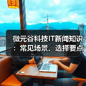 微元谷科技IT新闻知识:常见场景、选择要点与注意事项(图2) 微元谷科技IT新闻知识:常见场景、选择要点与注意事项(图2)