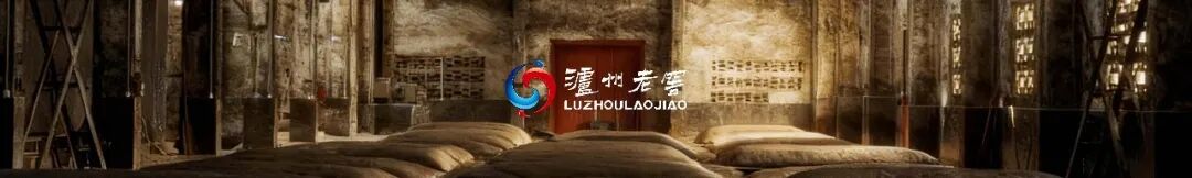 罗振宇2026“时间的朋友”跨年演讲全文(图76) 罗振宇2026“时间的朋友”跨年演讲全文(图76)